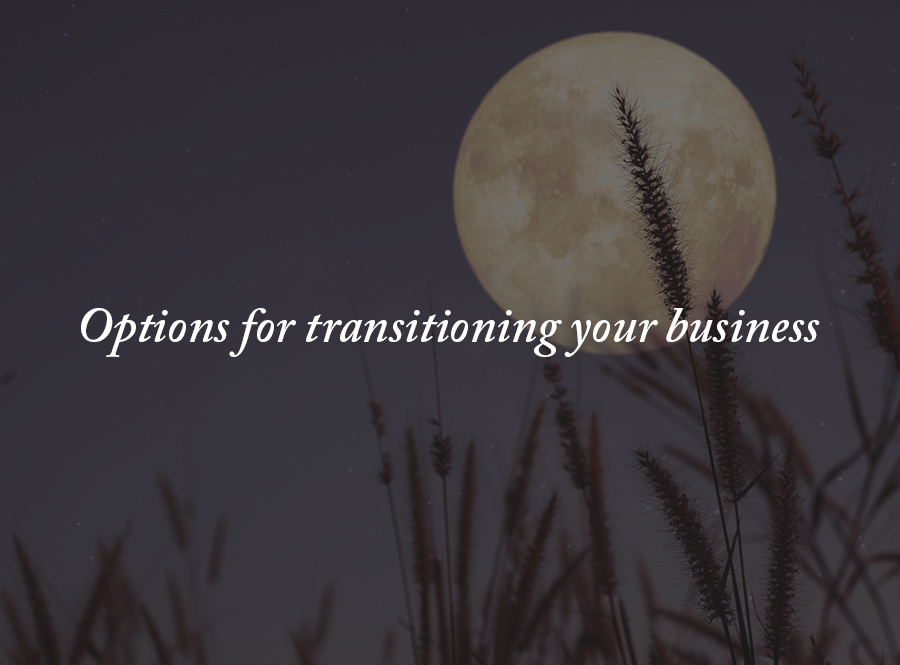 Business Exit Strategies