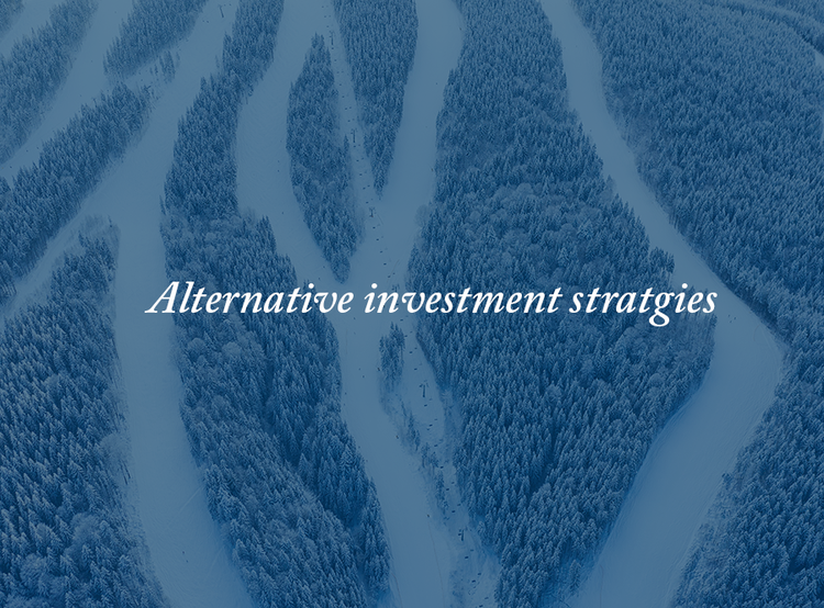 Alternative Investment Strategies